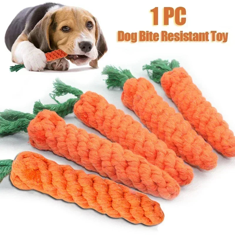 SNIFF'N'SQUEAK™ Crunchy Carrot Chewer